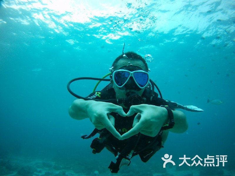 八宝山公墓中，谁受祭拜最多？谁安葬在81号墓？无名墓碑是谁？
